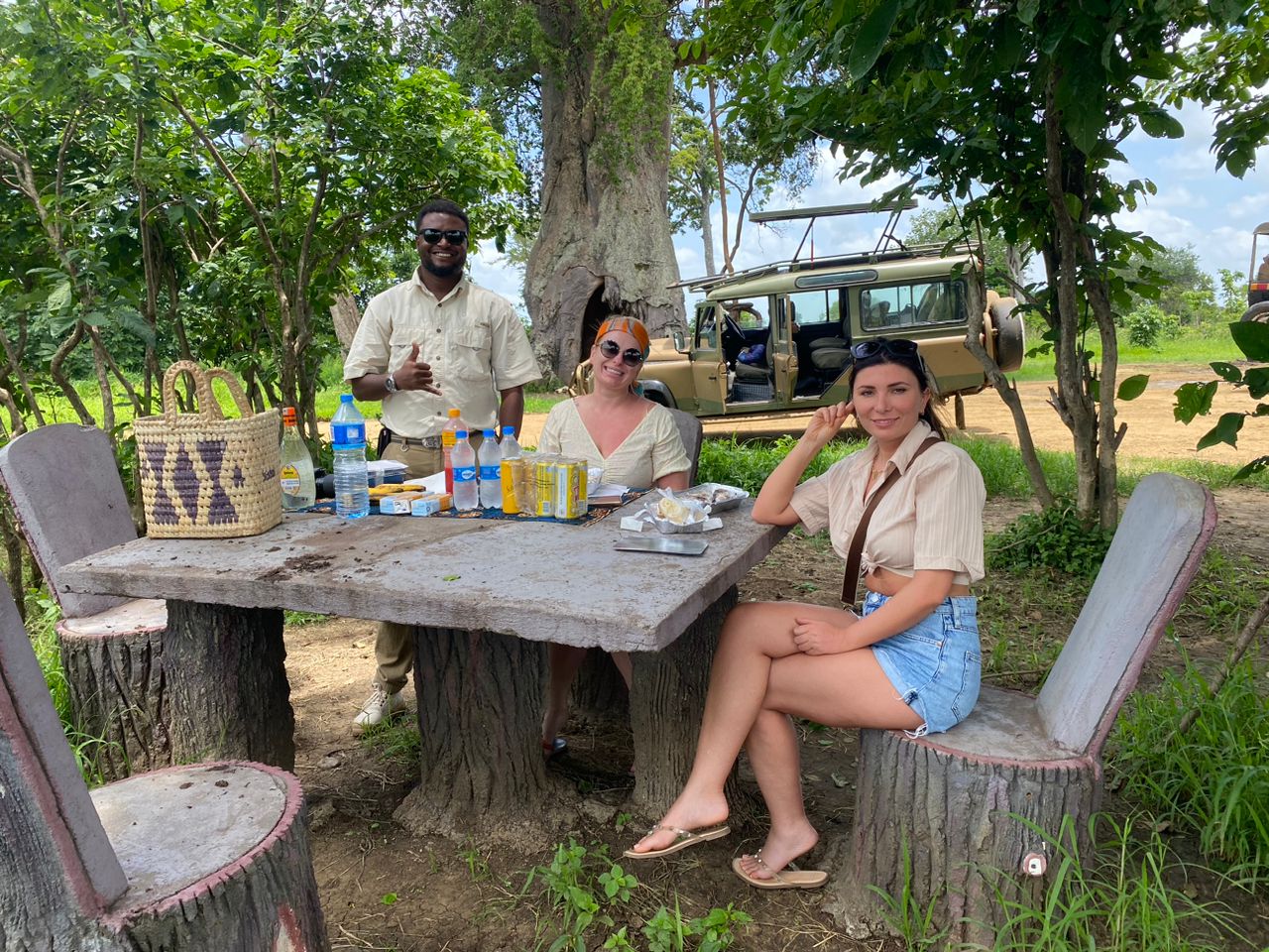 Southern Tanzania Dafari Deals 